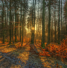 Midweek weg naar Ardennen